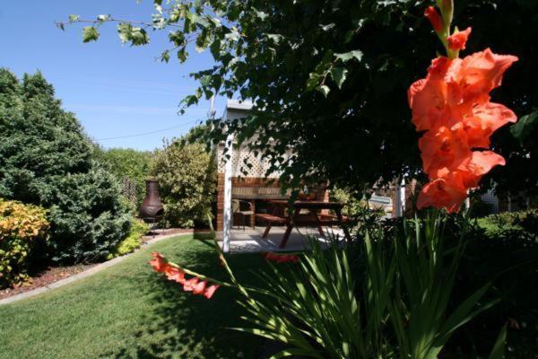 Shearwater Cottages Port Sorell Exteriér fotografie